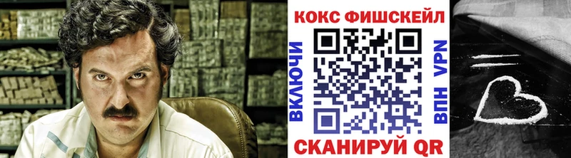 Купить закладки  Гдов  Cocaine Боливия 