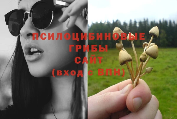 гидра Иннополис