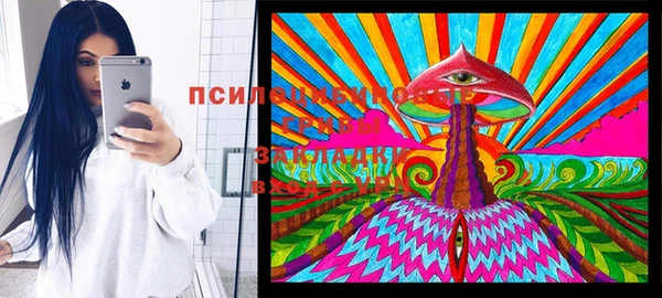мескалин Инта