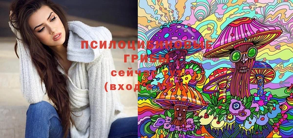 мескалин Инта